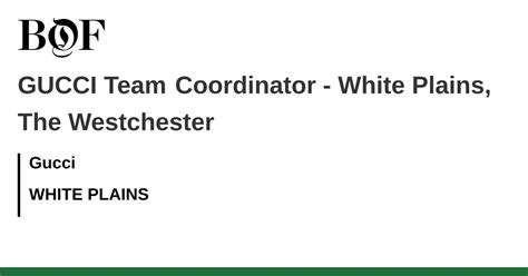 Gucci Team Coordinator Hourly Pay 